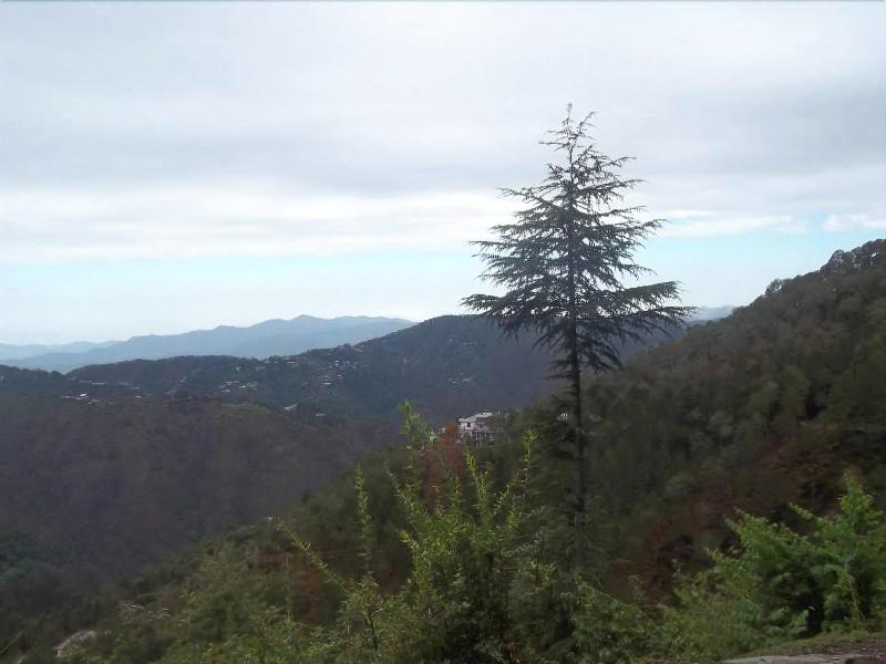 Fishermen's Lodge - A Lake Facing Hotel (20 KMS Fr, Nainital