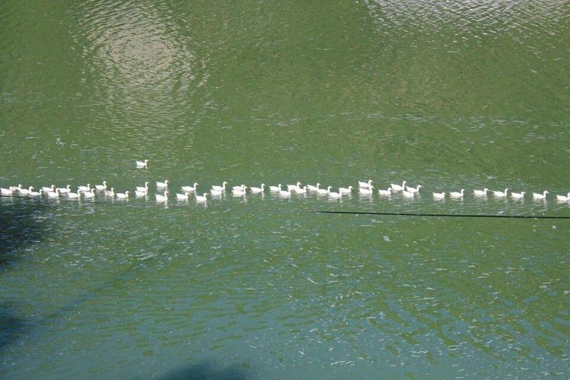 Fishermen's Lodge - A Lake Facing Hotel (20 KMS Fr