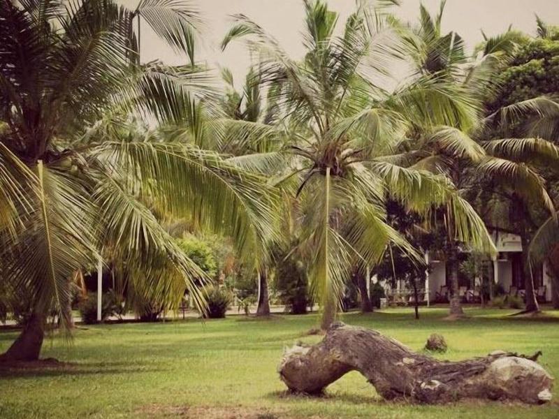 Hotel Lagoon Paradise image