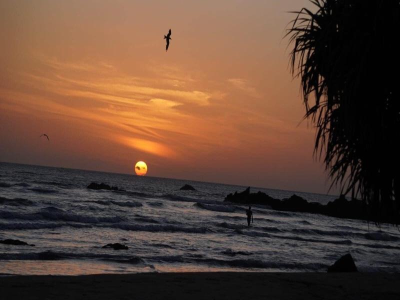 The Beach House  Nilaveli image