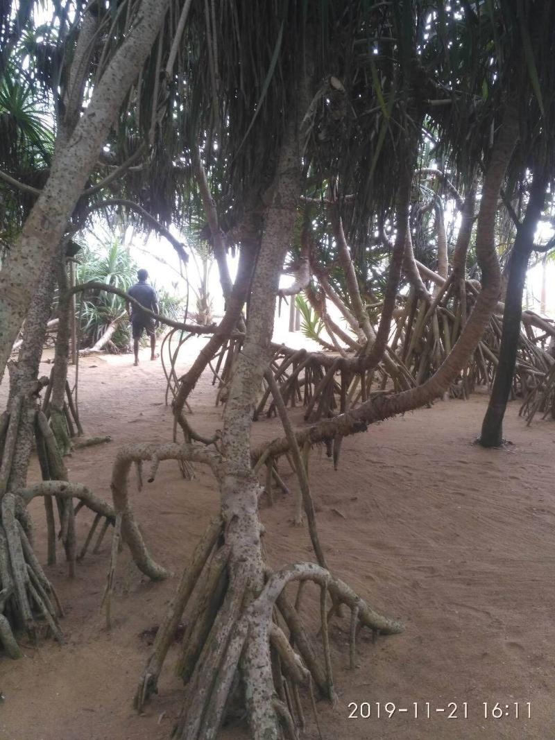 Ravana Beach Cabanas image