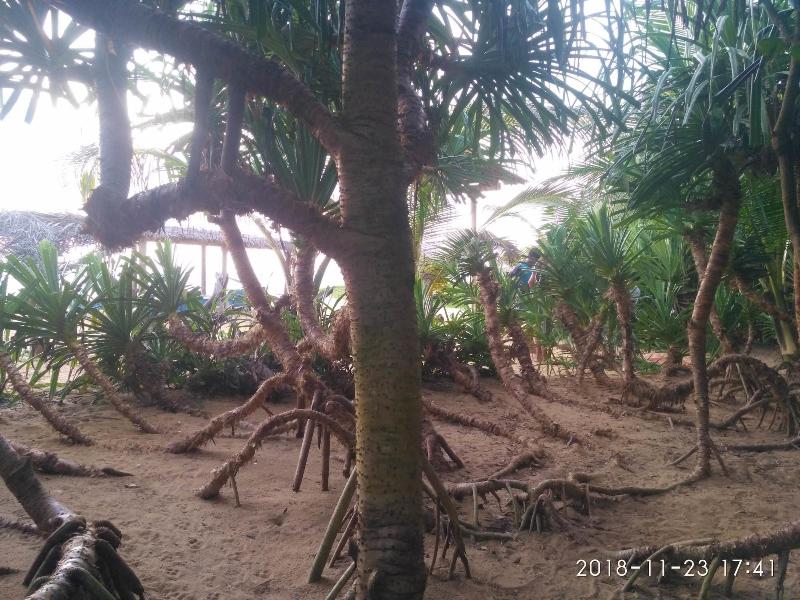 Ravana Beach Cabanas image