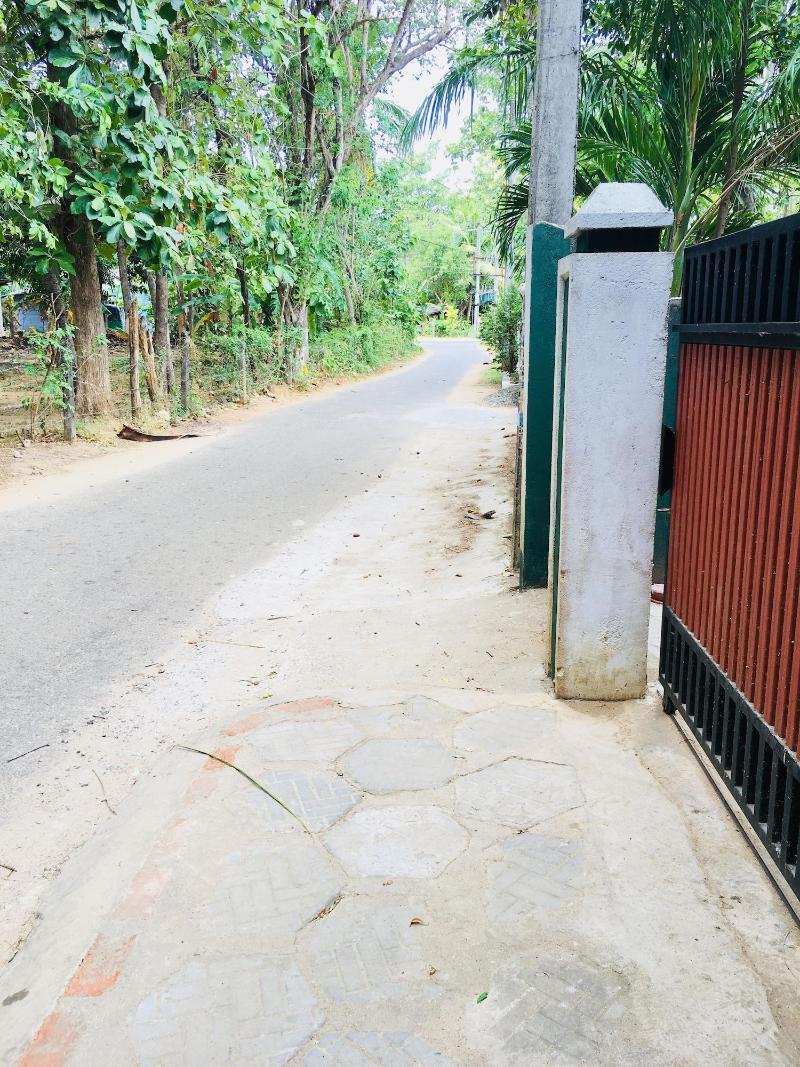 Sudu Neluma Home Stay — general view