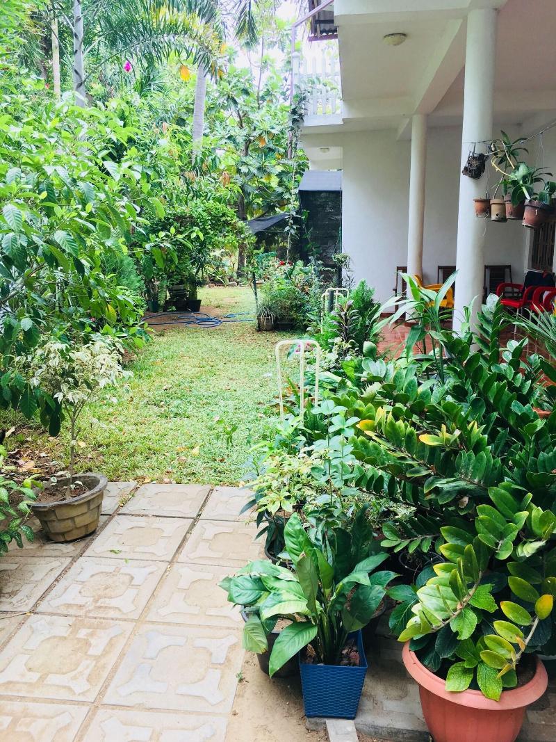 Sudu Neluma Home Stay image