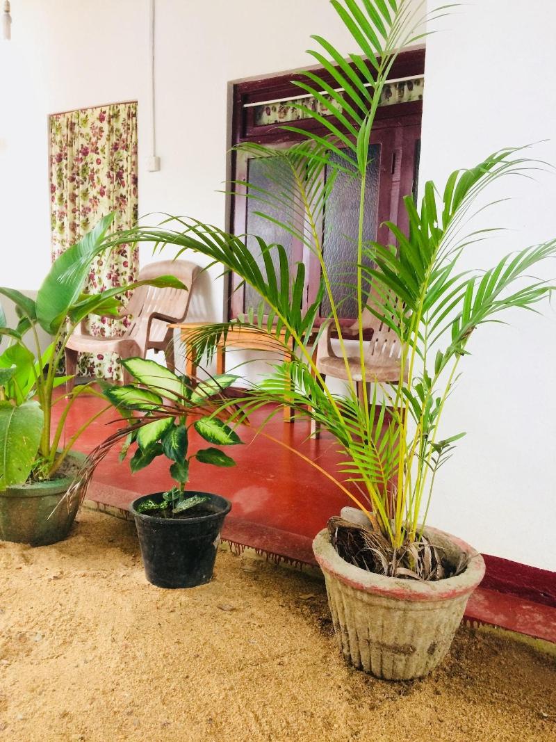 Tropicana Homestay