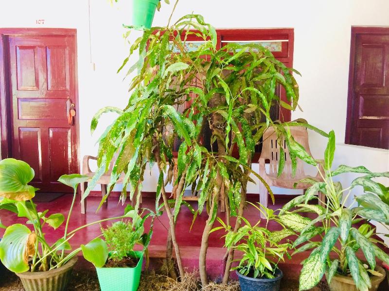 Tropicana Homestay image