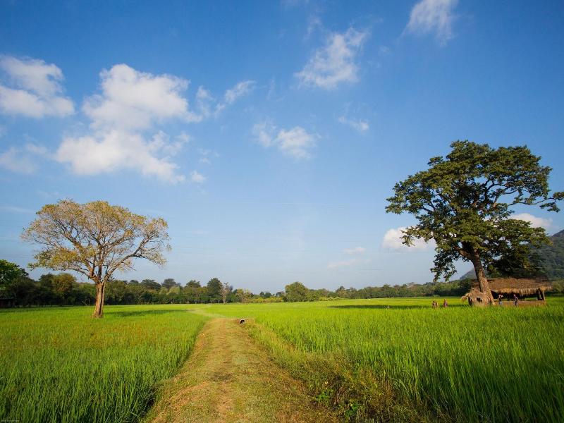 Kalundewa Retreat image