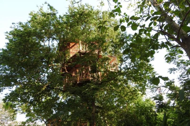 Riverside Cabana Yala image