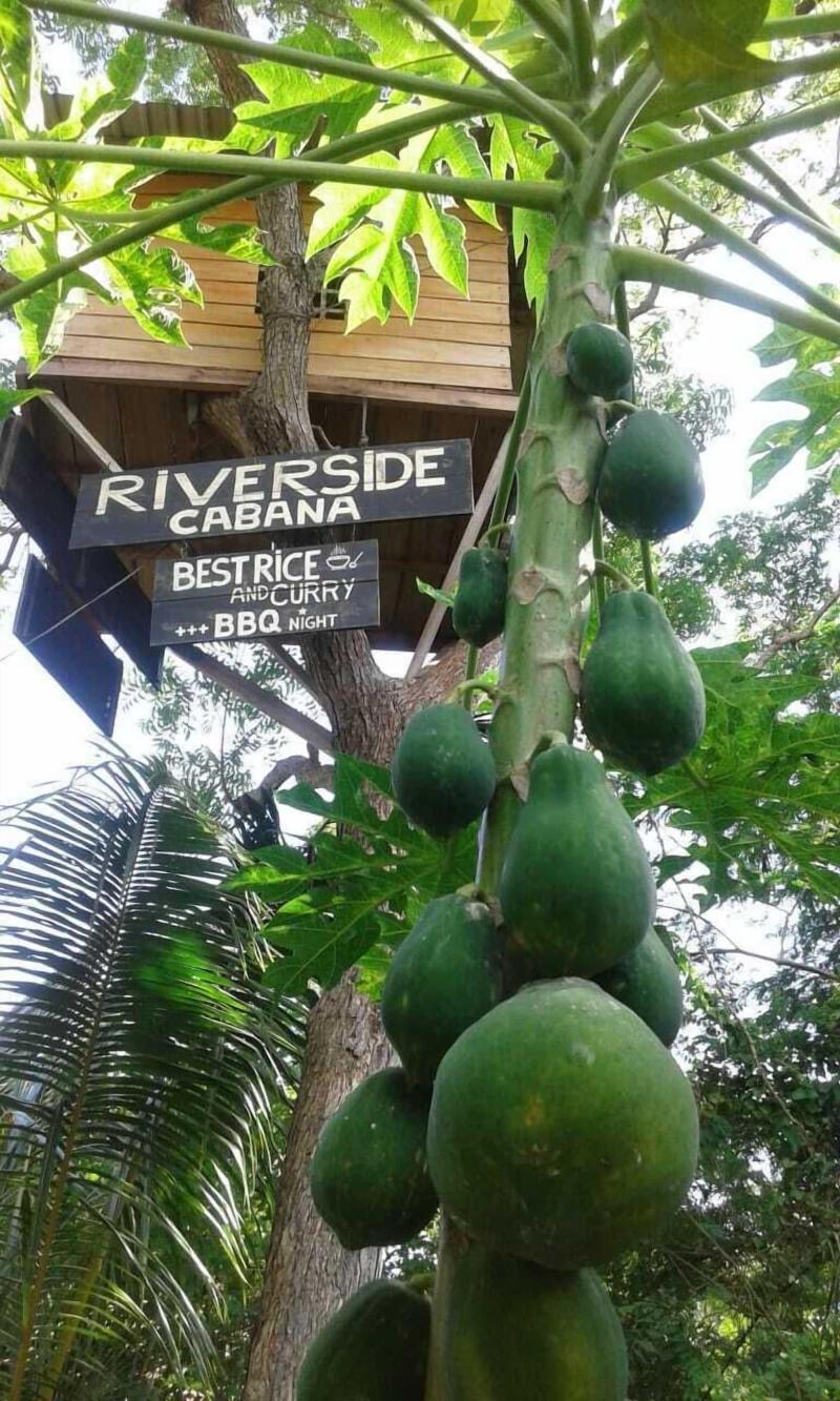 Riverside Cabana Yala image