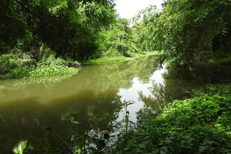 Riverside Cabana Yala image