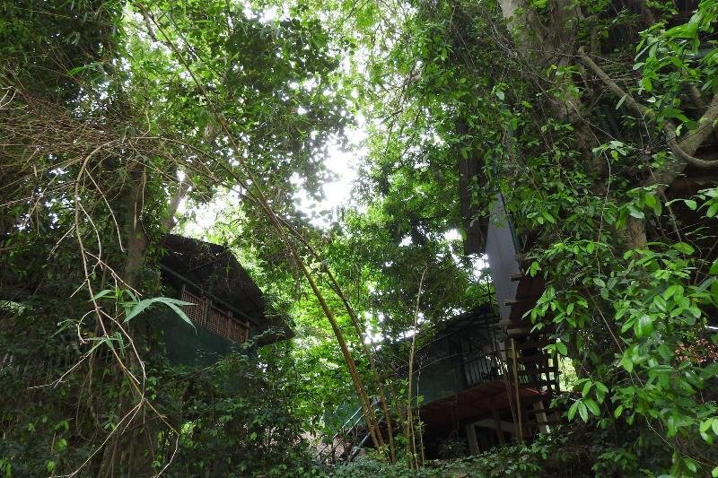 Riverside Cabana Yala image