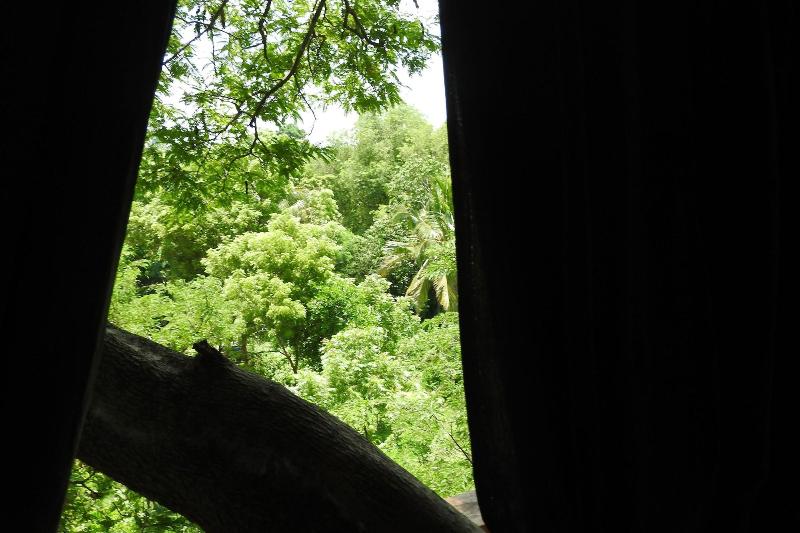 Riverside Cabana Yala image