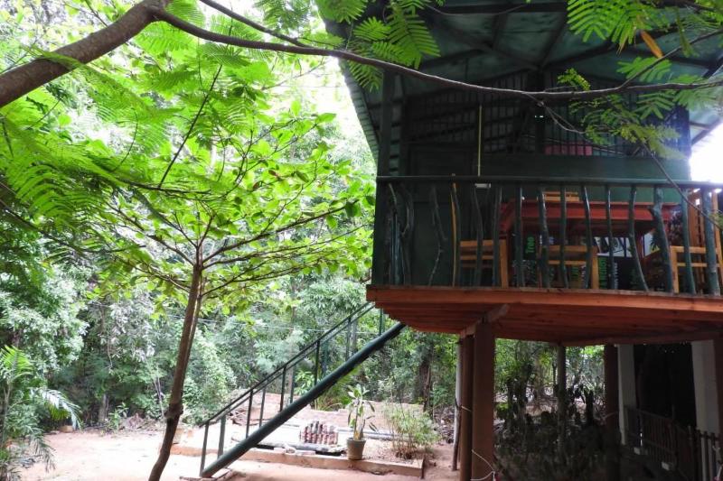 Riverside Cabana Yala image