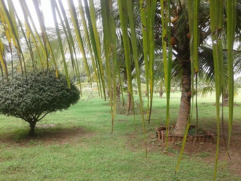 Suwanila Rest image