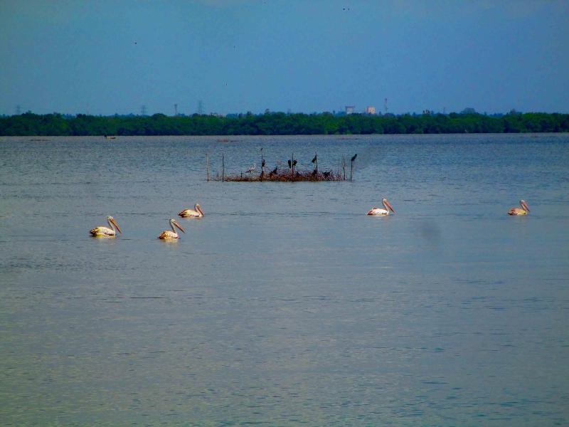 Nico Lagoon Hotel image