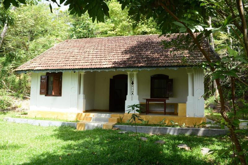 Jungle House — main photo