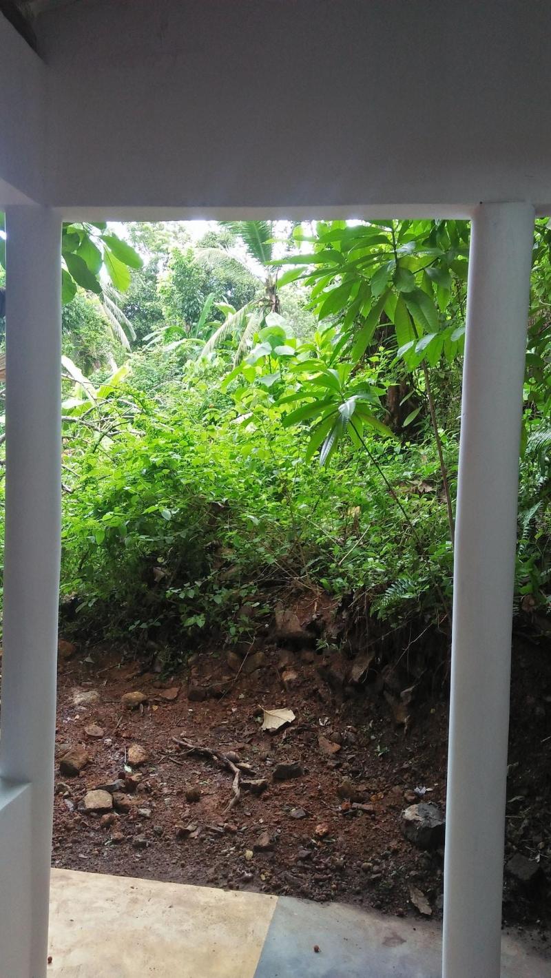 Jungle House — photo 2
