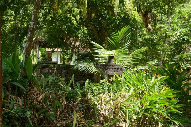 Jungle House — photo 3