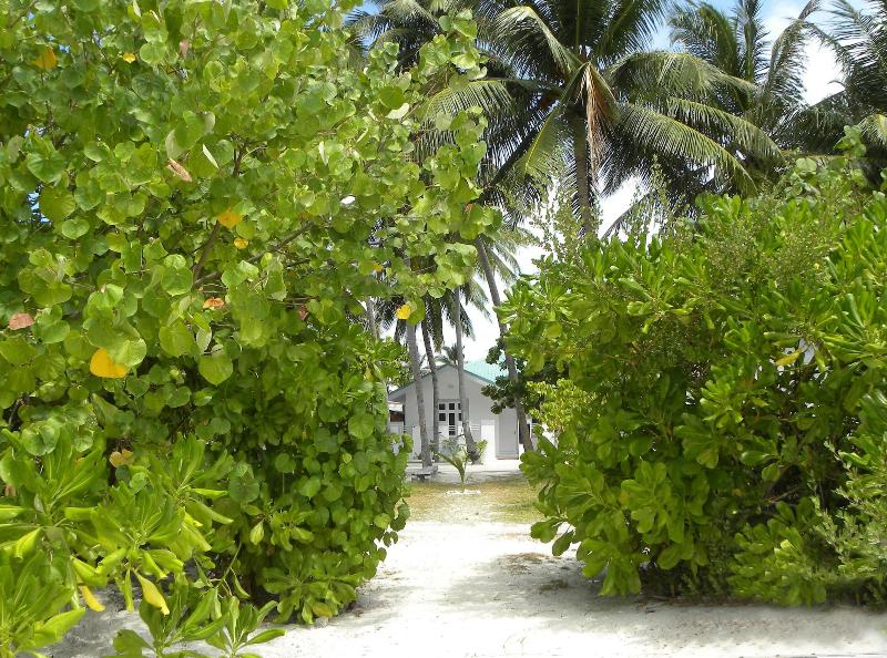Vaali Beach Lodge Maldives image