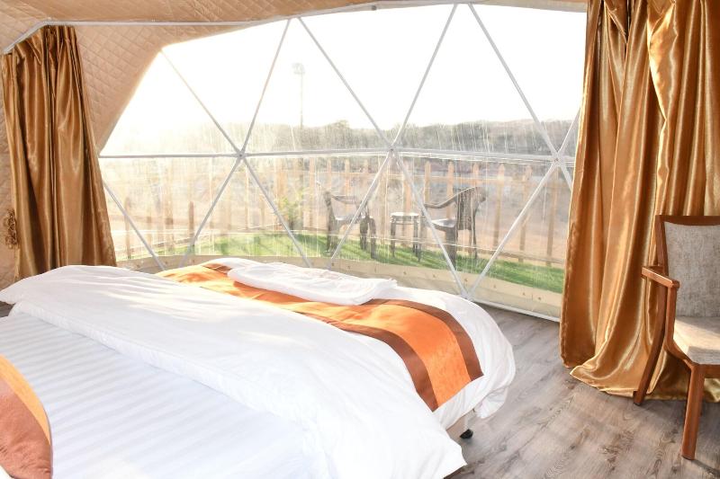 The Dunes Camping & Safari RAK image