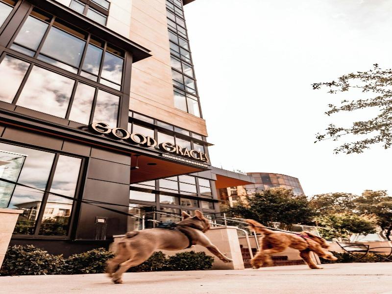 Marriott Dallas Uptown image