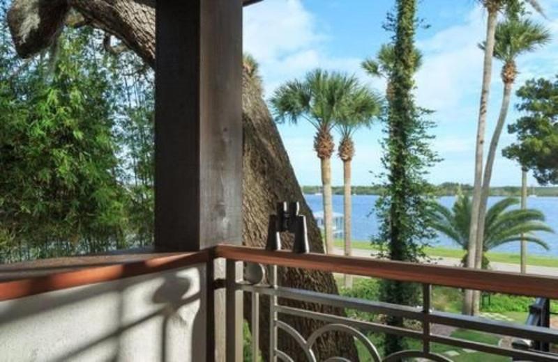 Black Dolphin Inn image