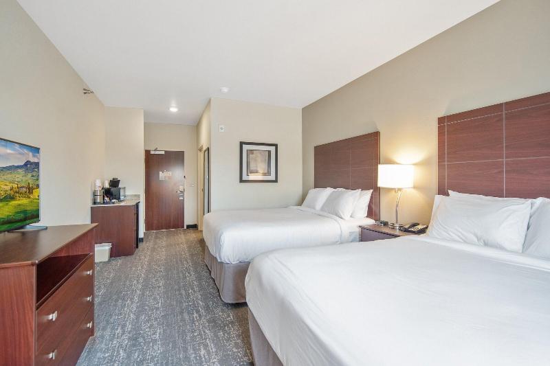 Cobblestone Hotel & Suites - Austin image