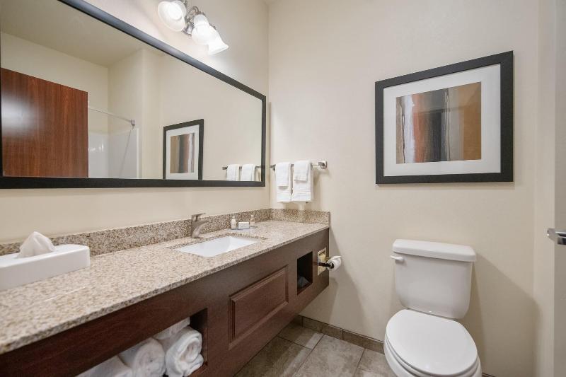Cobblestone Hotel & Suites - Austin image