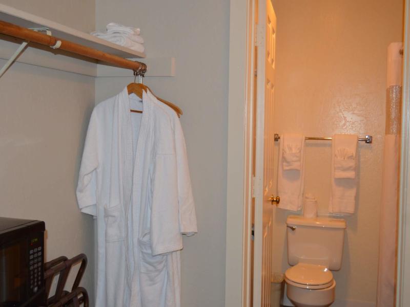 Palm Canyon Hotel & RV Resort image