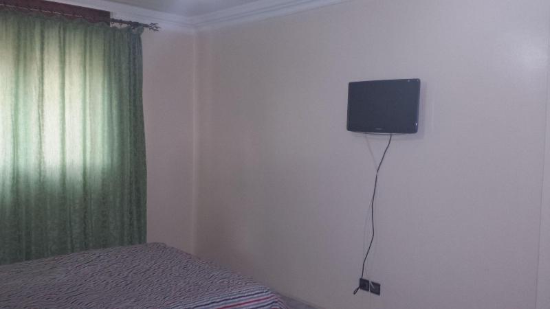 Hotel Aswan image