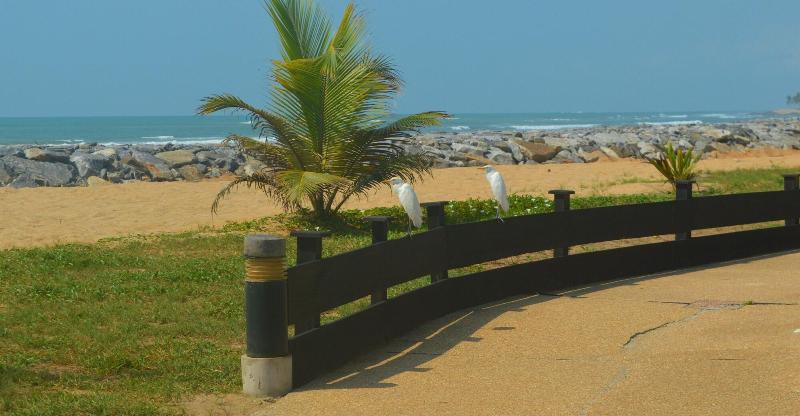 Elmina Bay Resort image