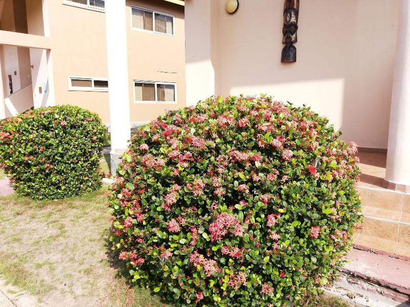Elmina Bay Resort image