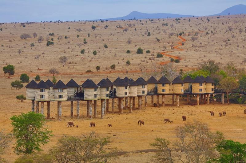 Salt Lick Safari Lodge image