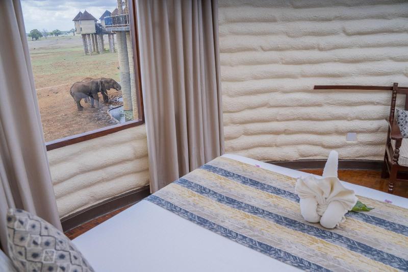 Salt Lick Safari Lodge image