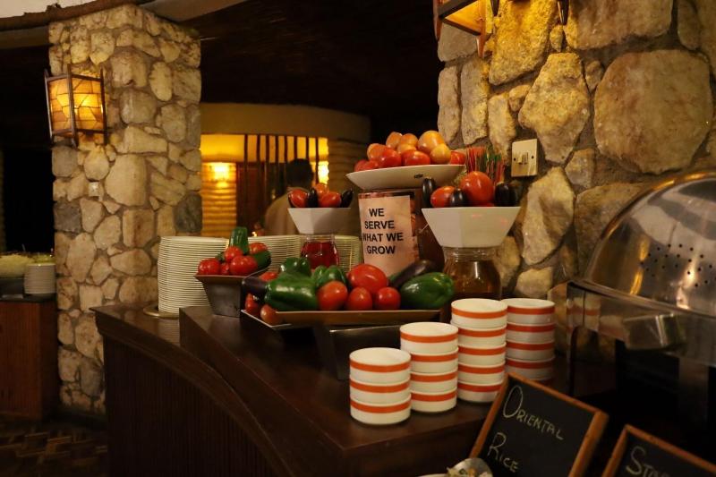 Salt Lick Safari Lodge image
