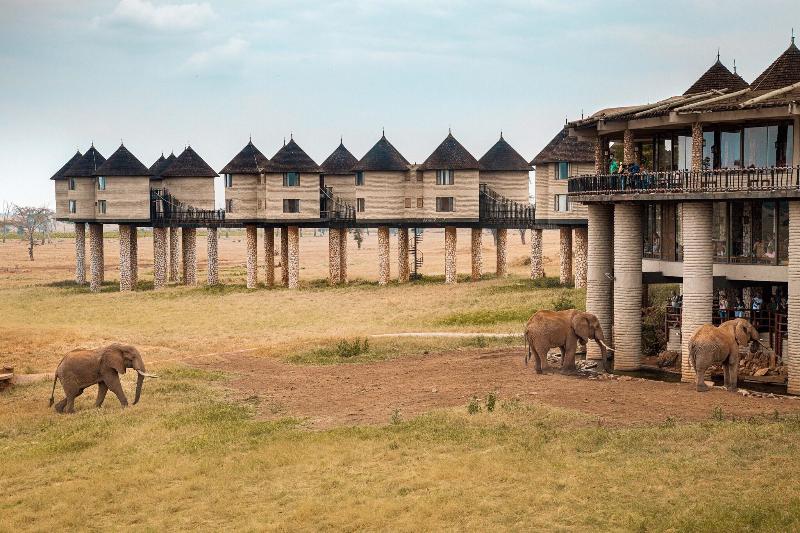 Salt Lick Safari Lodge image