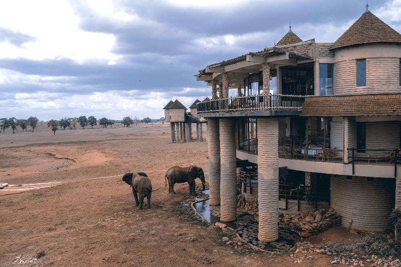 Salt Lick Safari Lodge image