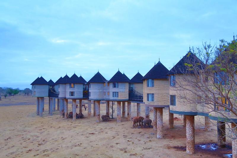 Salt Lick Safari Lodge image