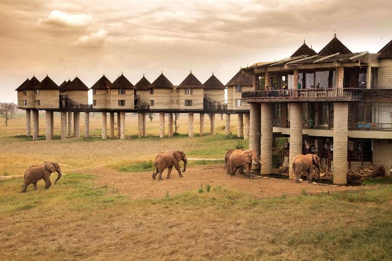 Salt Lick Safari Lodge image