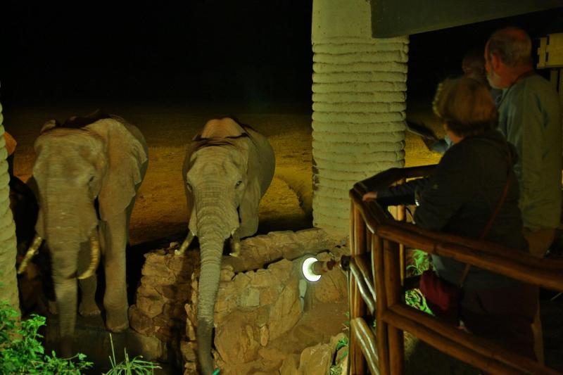 Salt Lick Safari Lodge image