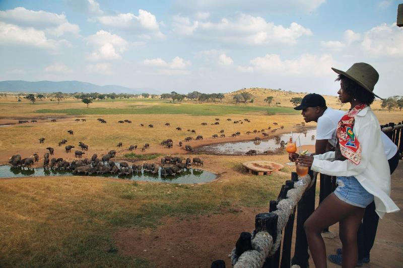 Salt Lick Safari Lodge image
