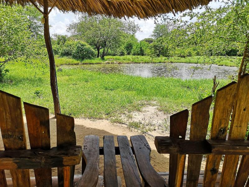 Africa Safari Selous