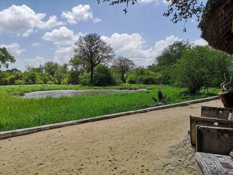 Africa Safari Selous