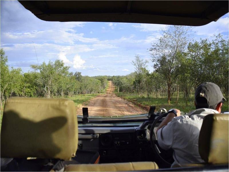 Raptor Retreat Game Lodge image
