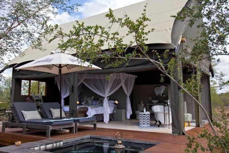 Raptor Retreat Game Lodge image