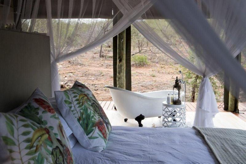 Raptor Retreat Game Lodge image