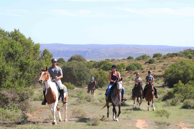 Woodbury Lodge-Amakhala Game Reserve image