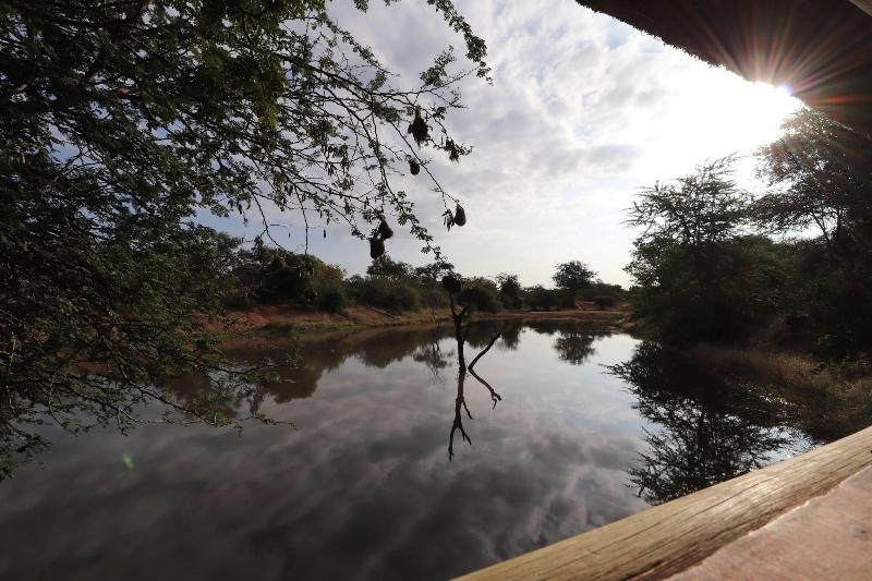 African Rock Lodge image