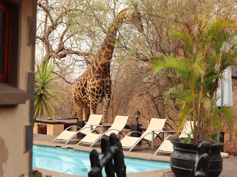 African Rock Lodge image