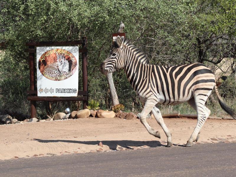 African Rock Lodge image